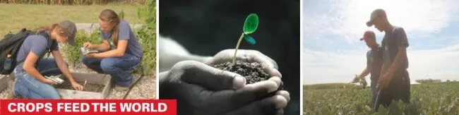 Crops Feed the World.