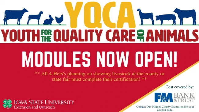 YQCA logo including livestock silhouettes above a red box with words MODULES OPEN!