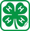 4-H Clover